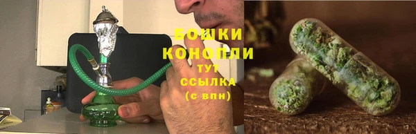 шишки Бородино