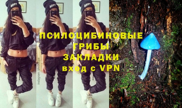 шишки Бородино