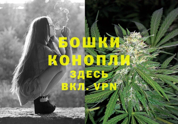 шишки Бородино