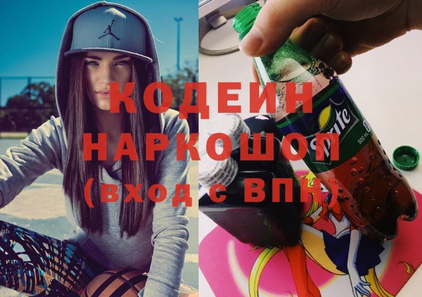 шишки Бородино