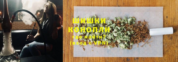 шишки Бородино